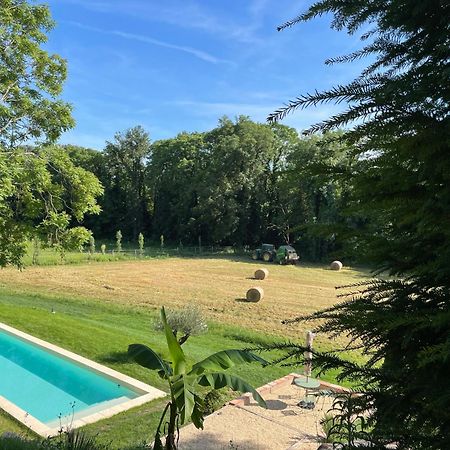 Chateau Du Go Albi Dış mekan fotoğraf