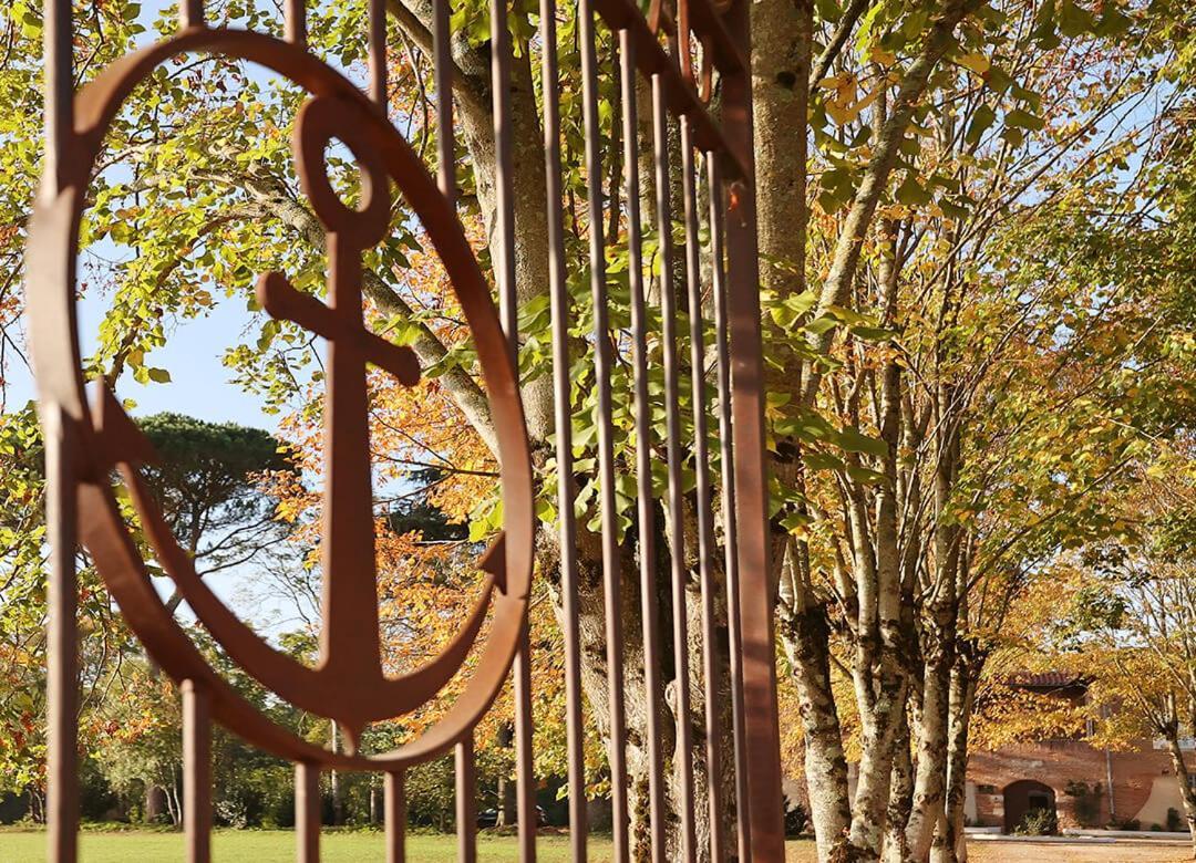 Chateau Du Go Albi Dış mekan fotoğraf