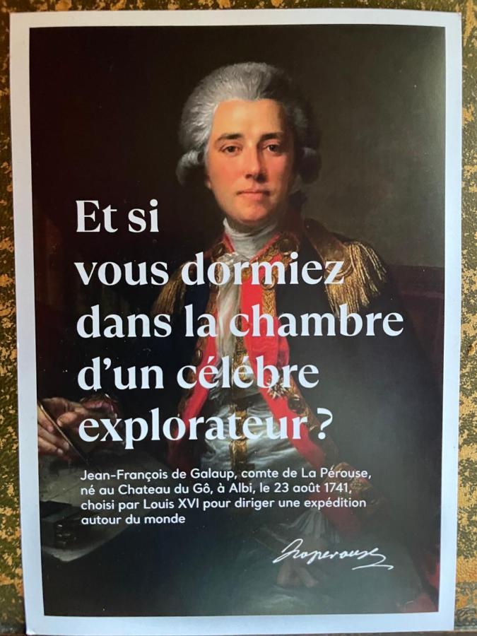 Chateau Du Go Albi Dış mekan fotoğraf