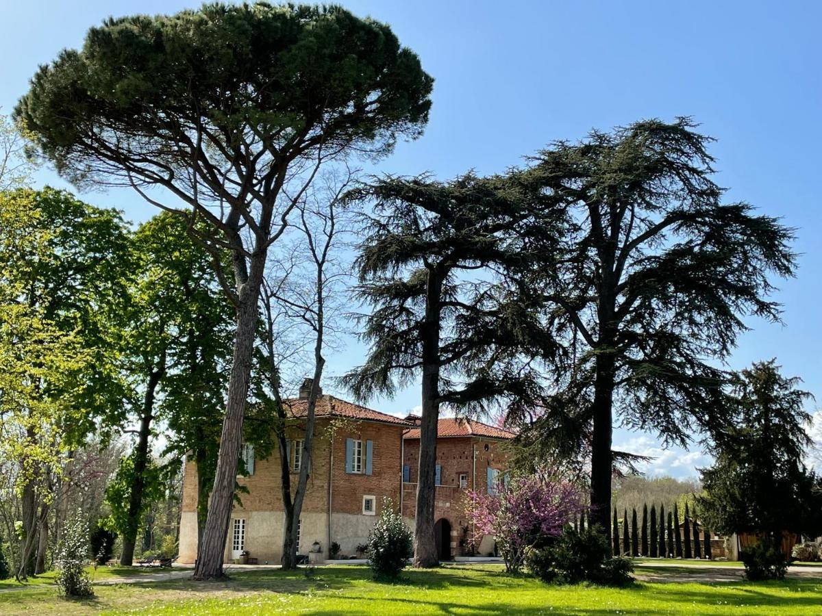 Chateau Du Go Albi Dış mekan fotoğraf