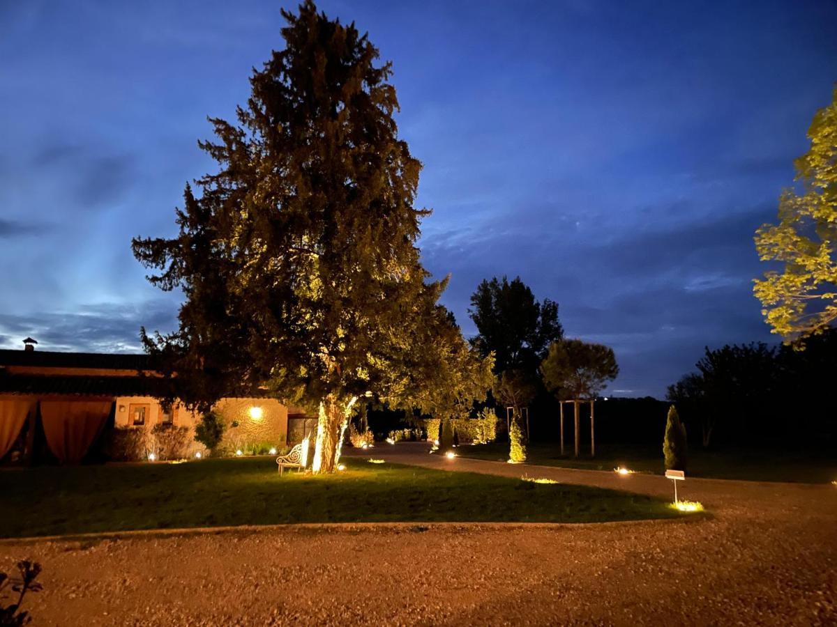 Chateau Du Go Albi Dış mekan fotoğraf