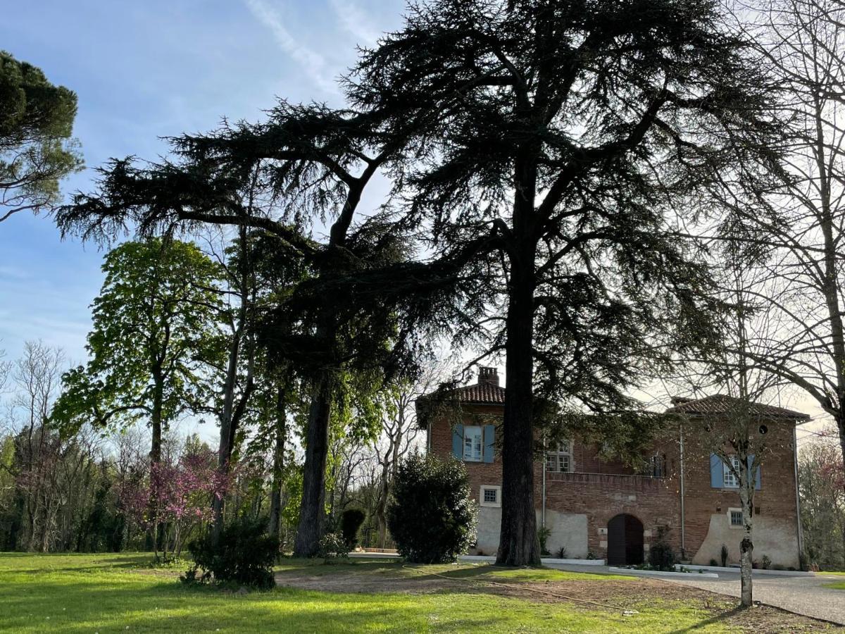 Chateau Du Go Albi Dış mekan fotoğraf