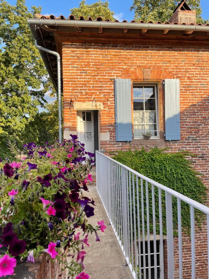 Chateau Du Go Albi Dış mekan fotoğraf