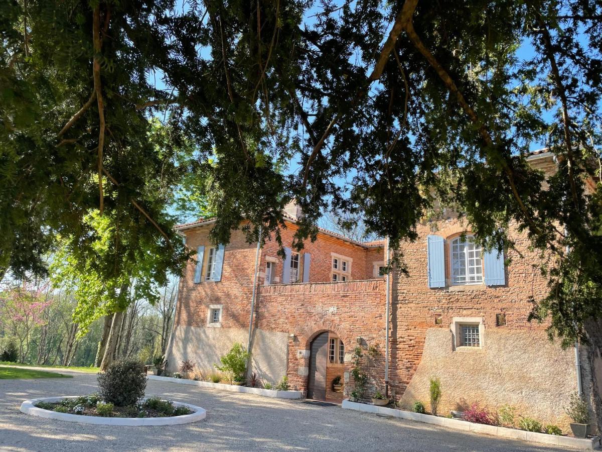 Chateau Du Go Albi Dış mekan fotoğraf