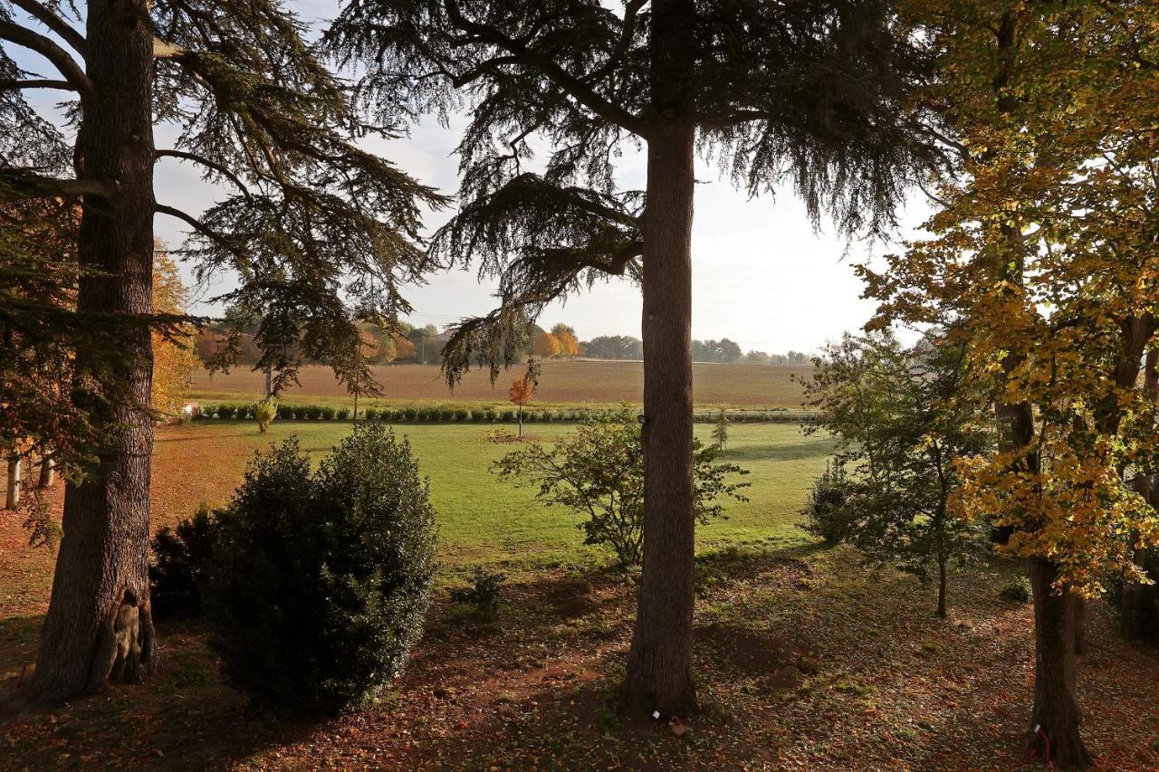 Chateau Du Go Albi Dış mekan fotoğraf