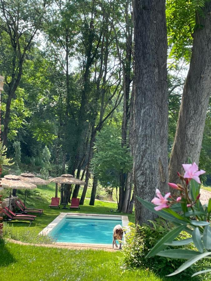 Chateau Du Go Albi Dış mekan fotoğraf