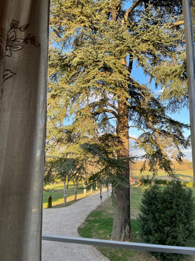 Chateau Du Go Albi Dış mekan fotoğraf